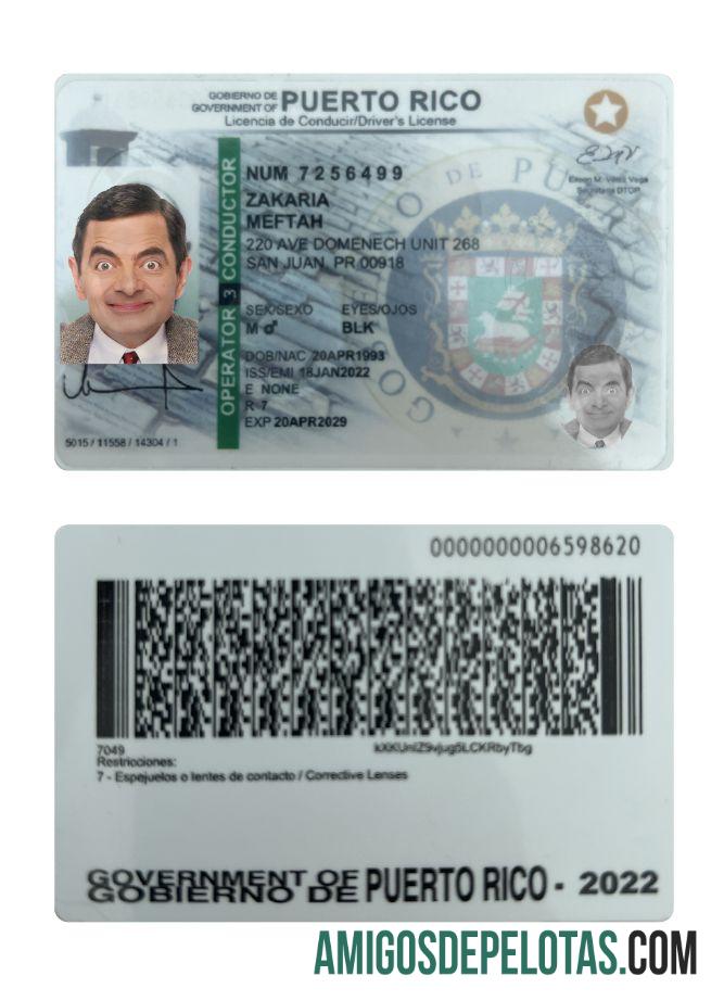 Carteira de habilitação de Porto Rico 2022 presente exemplo